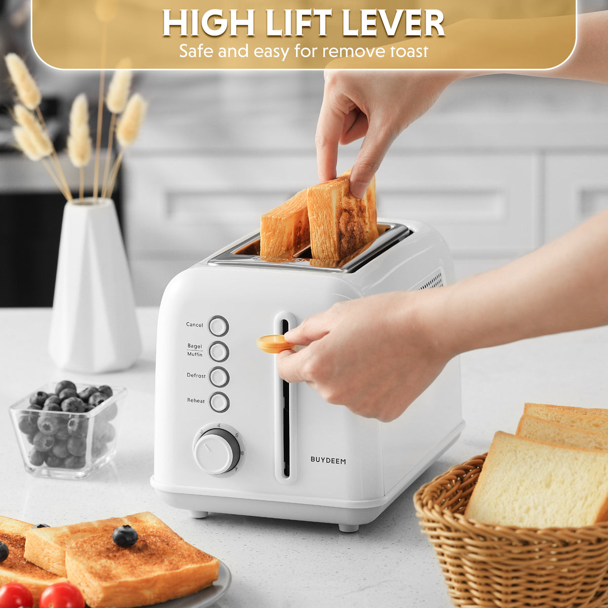 G32 Mini Electric Food Steamer with 2-Slice Toaster - Bundle Offer