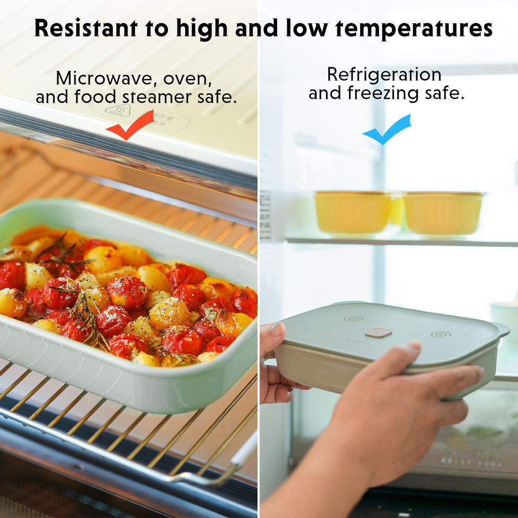 G67 Electric Food Steamer with Ceramic Lunch Box - Bundle Offer