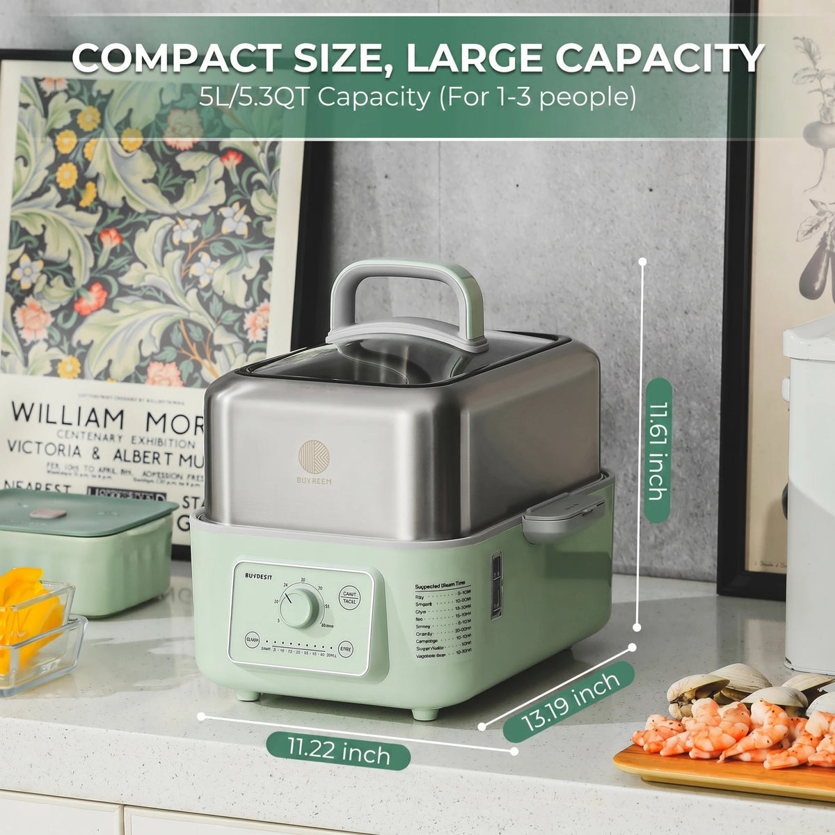 G52 Electric Food Steamer, 5.3QT
